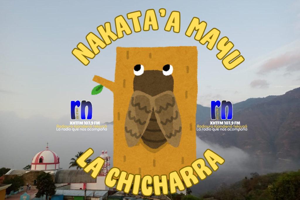 NAKATA´A MAYU – LA CHICHARRA