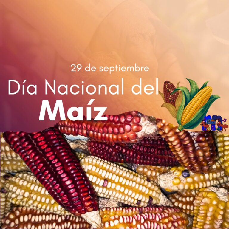 Colores que cuentan nuestra historia